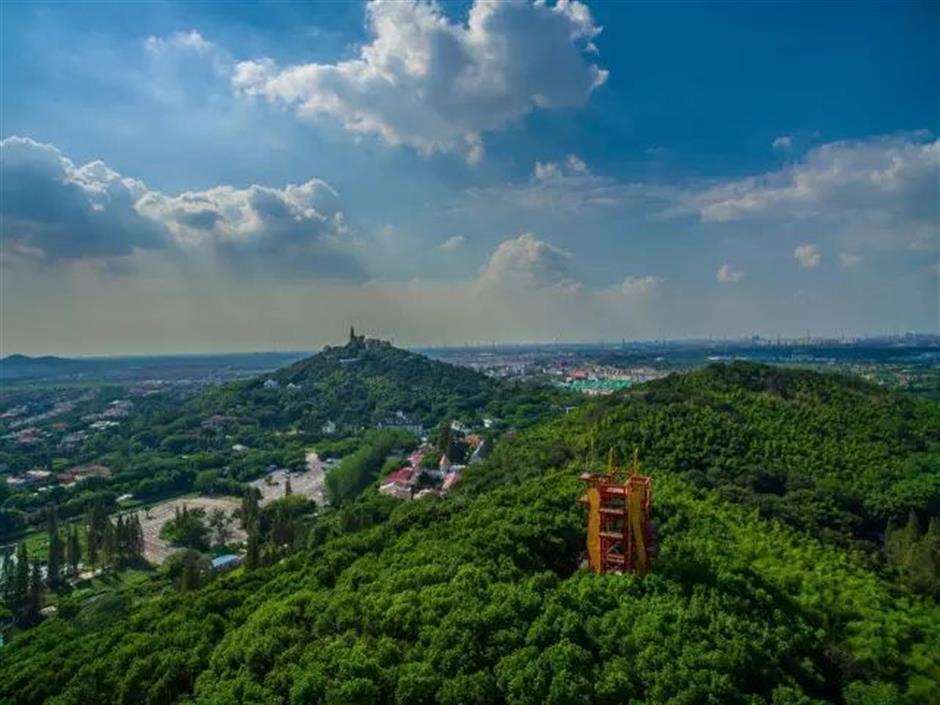 冷门避暑好去处,竹林秘境觅清凉