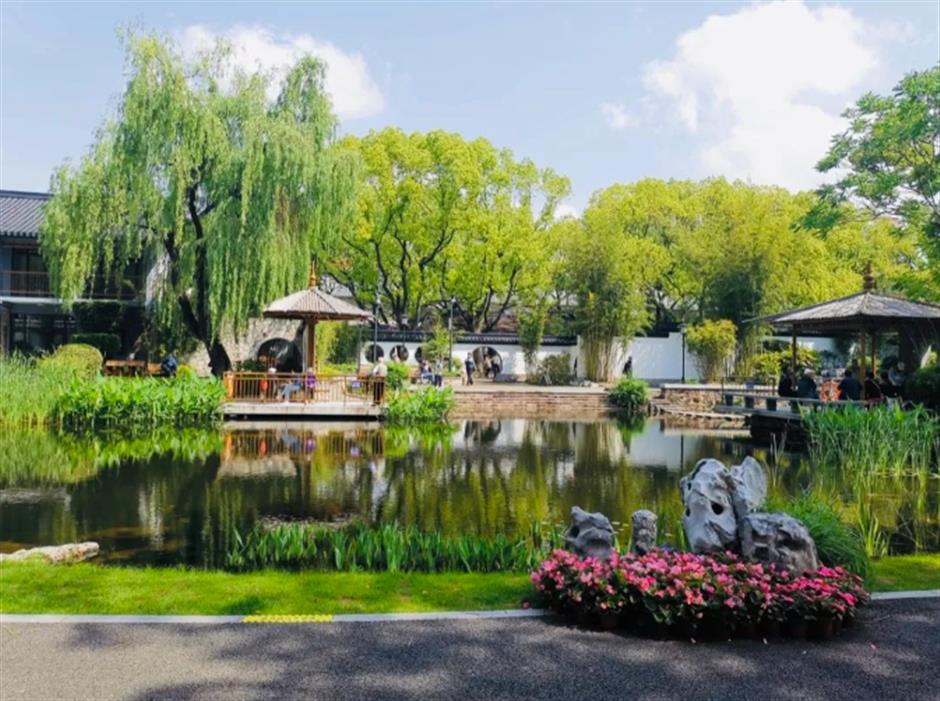 冷门避暑好去处,竹林秘境觅清凉