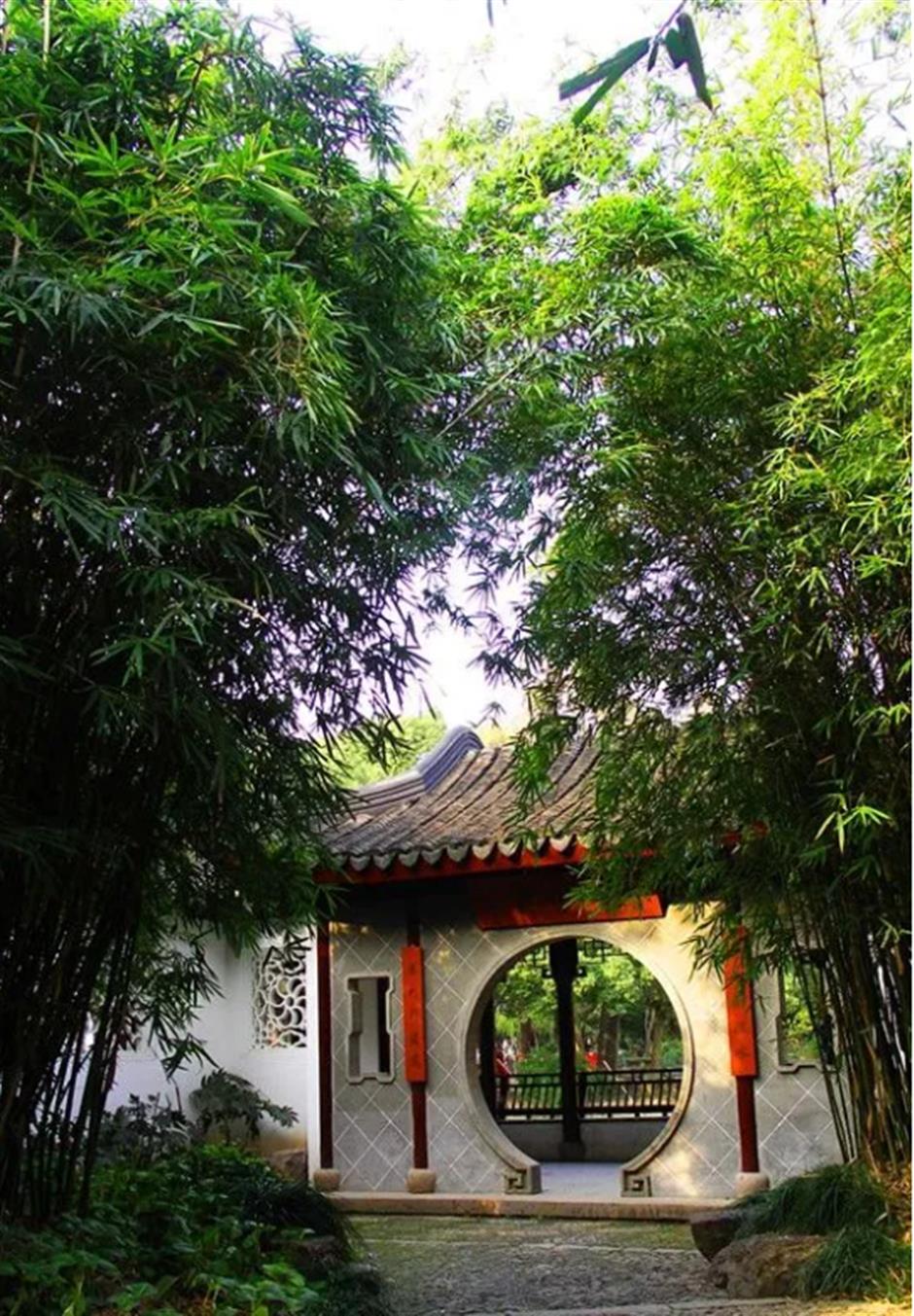 冷门避暑好去处,竹林秘境觅清凉