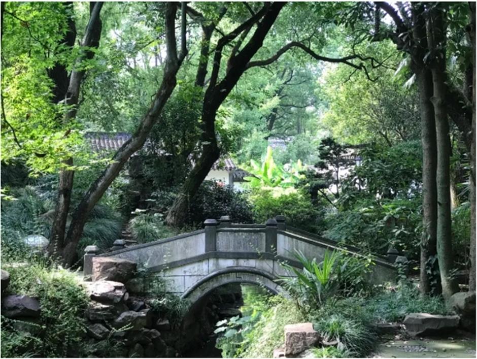 古镇避暑新体验,打卡这些高颜值好去处