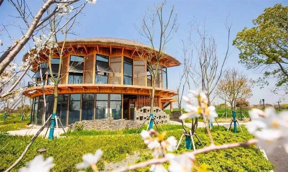 绝了!采梨吃羊肉,纳凉赏风景,都在上海这个古镇里