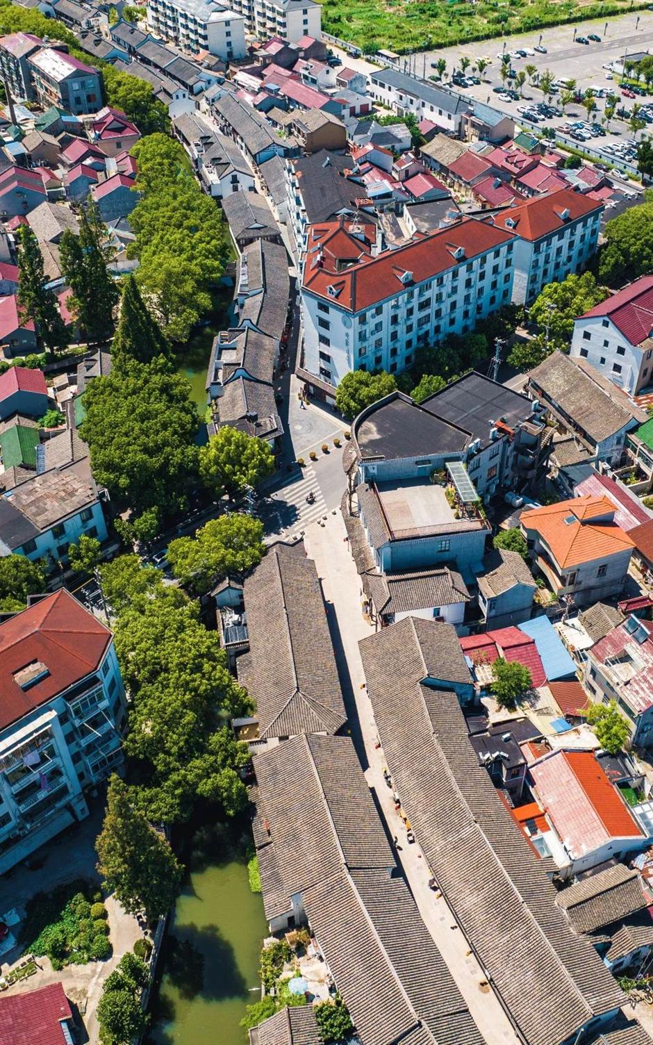 绝了!采梨吃羊肉,纳凉赏风景,都在上海这个古镇里