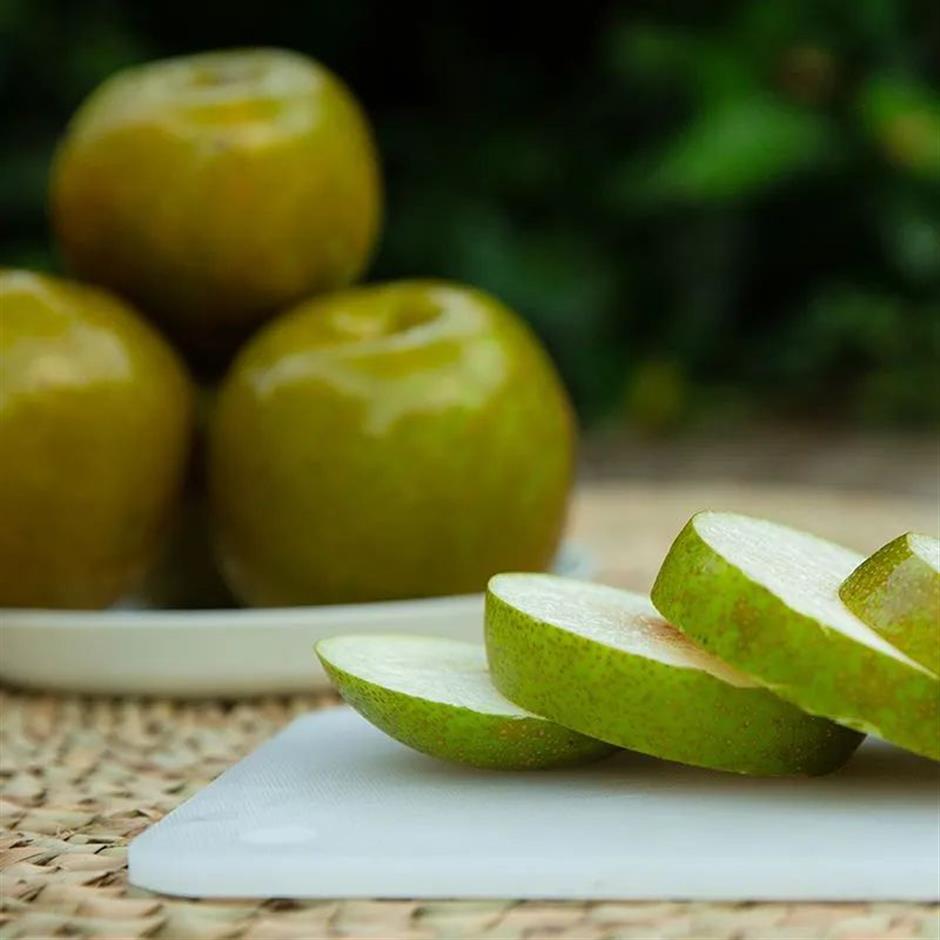 绝了!采梨吃羊肉,纳凉赏风景,都在上海这个古镇里