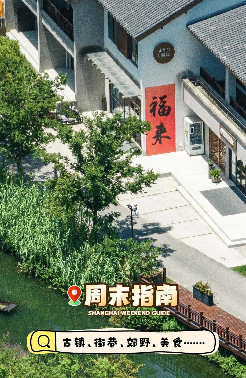 绝了!采梨吃羊肉,纳凉赏风景,都在上海这个古镇里