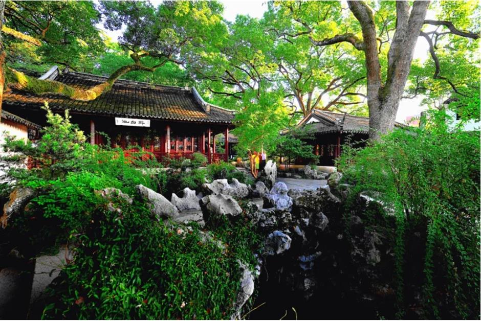 上海这个古风园林绝了!荷花满池,绿荫蔽日,宛如仙境