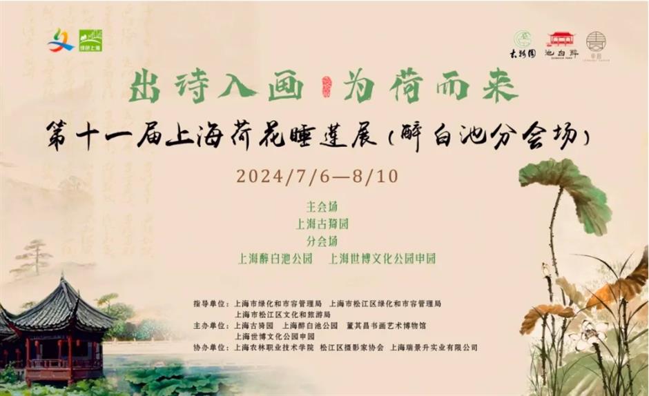 上海这个古风园林绝了!荷花满池,绿荫蔽日,宛如仙境