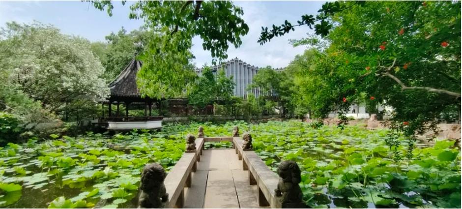 上海这个古风园林绝了!荷花满池,绿荫蔽日,宛如仙境