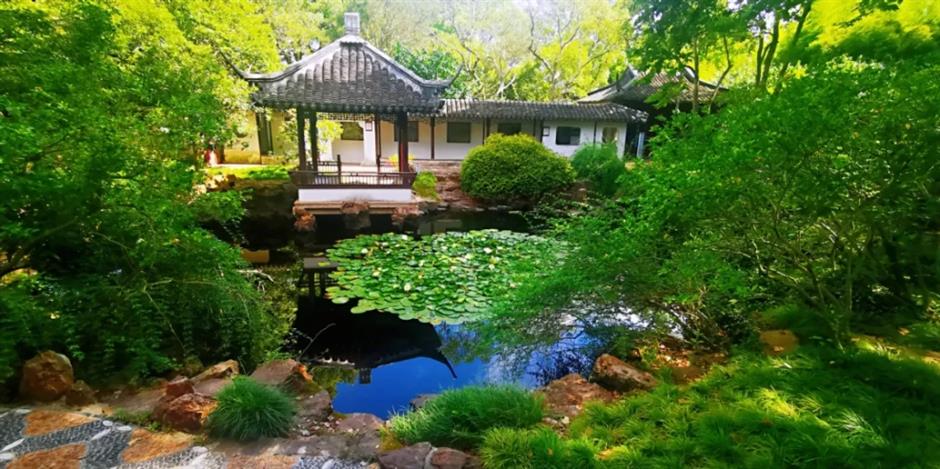 上海这个古风园林绝了!荷花满池,绿荫蔽日,宛如仙境