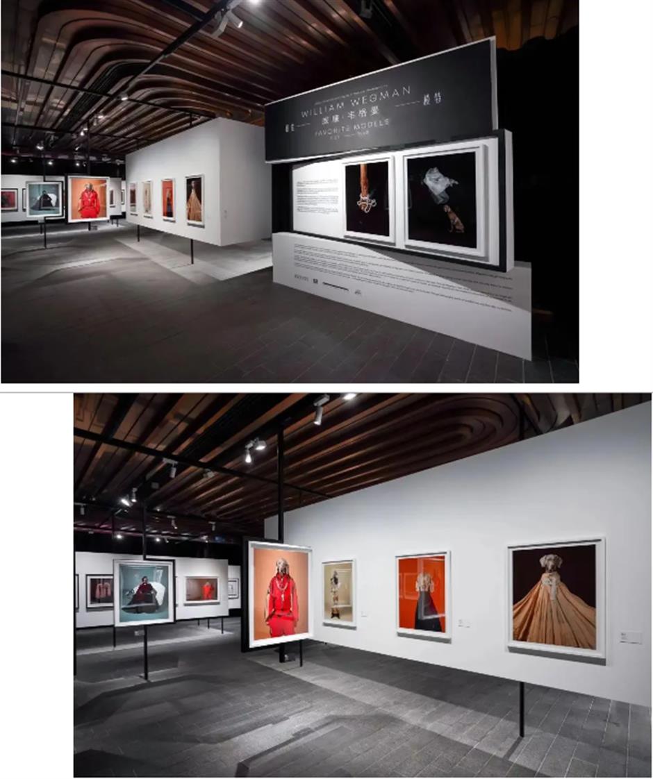 还没去吗?上海外滩限时开放