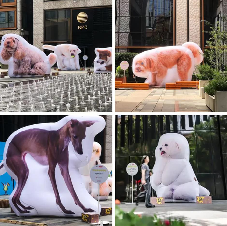 还没去吗?上海外滩限时开放