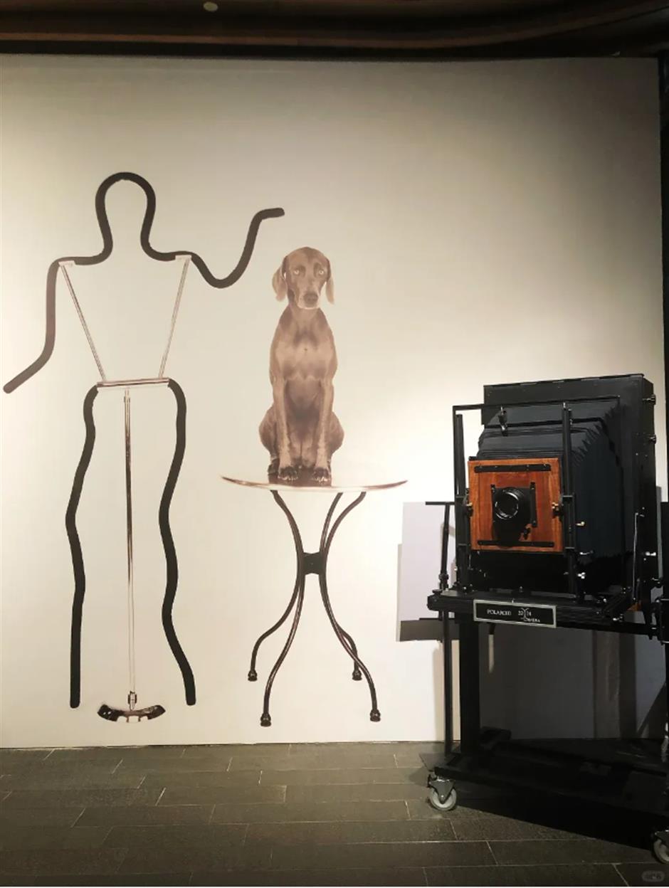 还没去吗?上海外滩限时开放