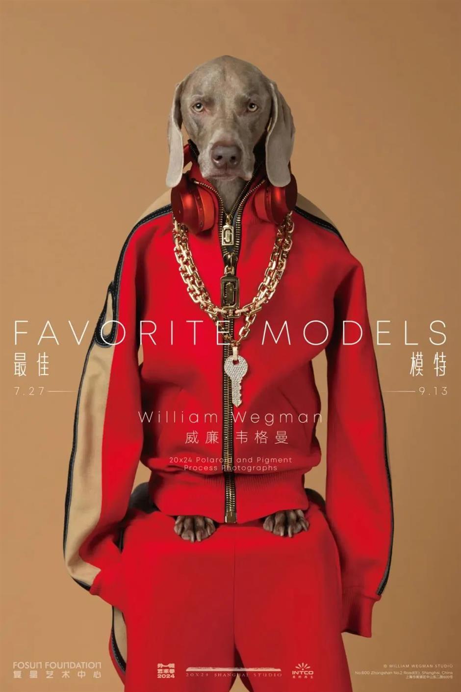 新鮮又好逛!上海近期一波新展來了→