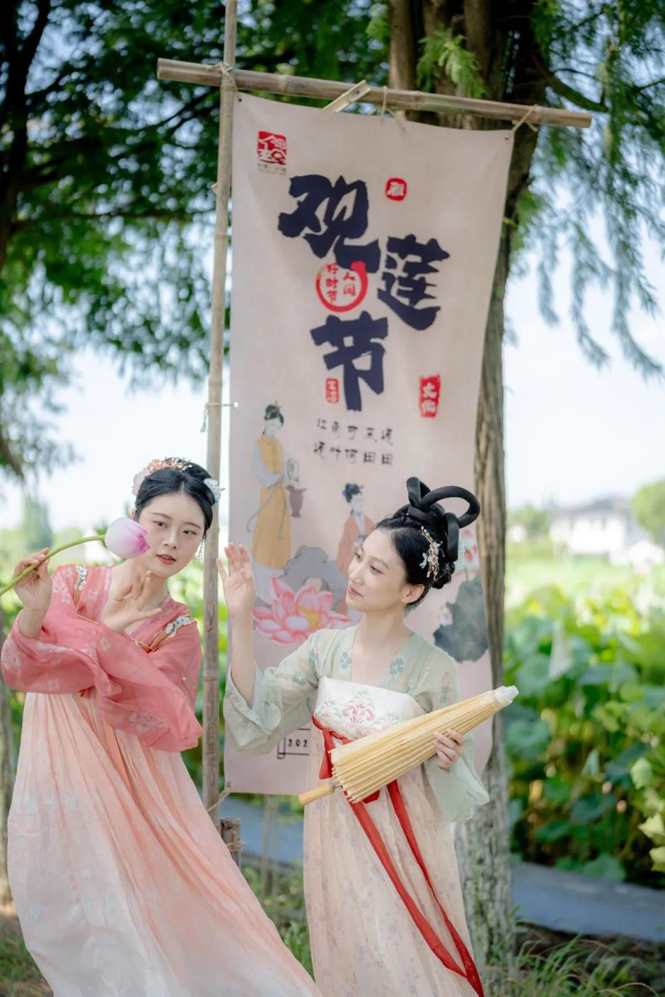 免费赏荷,都在上海这些郊野秘境里