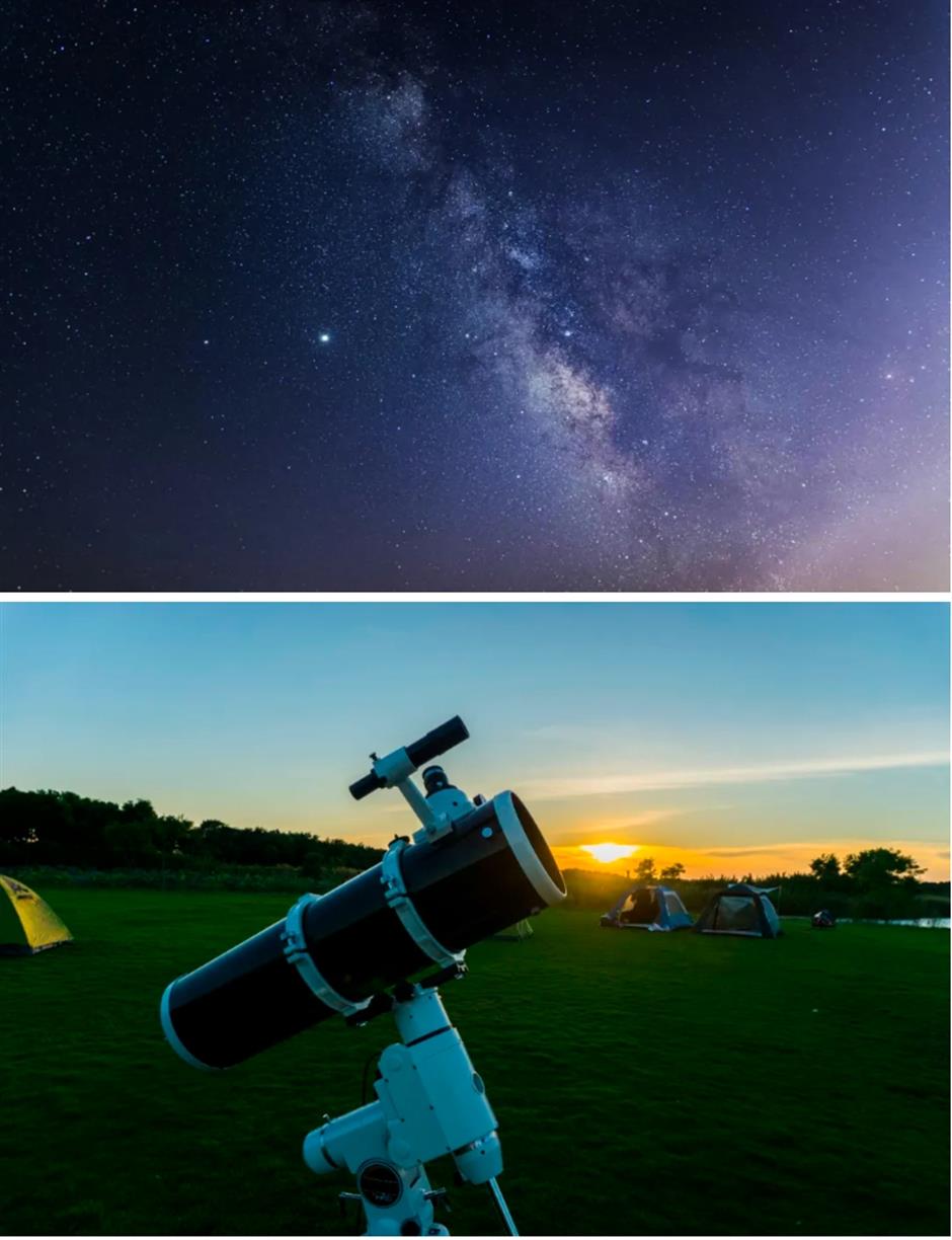 上海第一!这个公园被世界认可,推出重磅福利