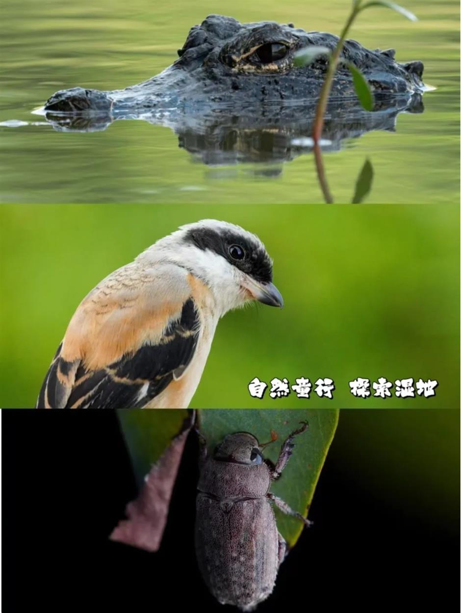 上海第一!这个公园被世界认可,推出重磅福利