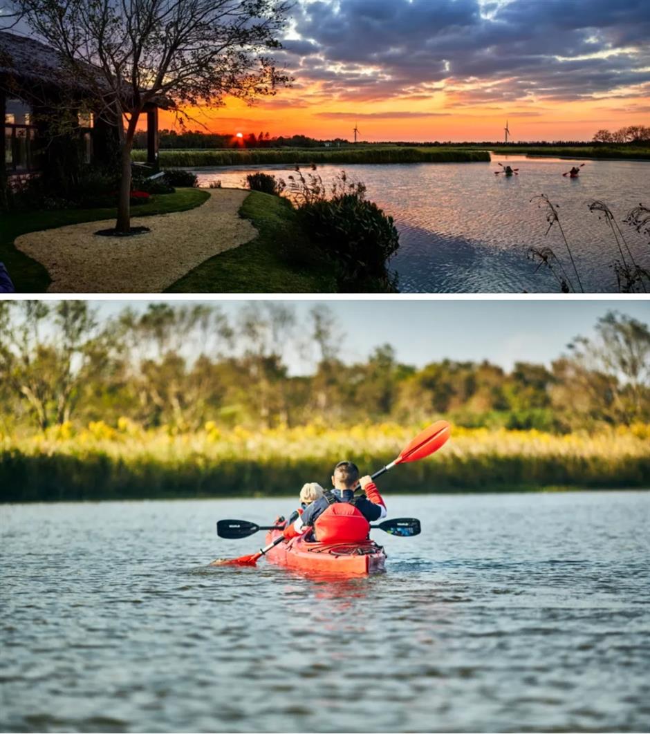 上海第一!这个公园被世界认可,推出重磅福利