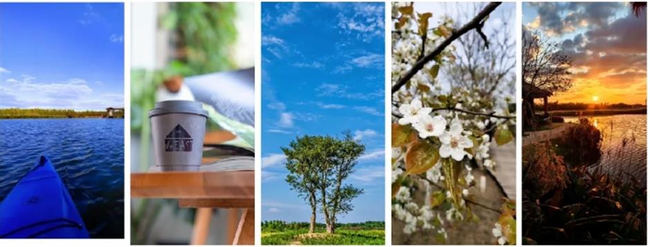 上海第一!这个公园被世界认可,推出重磅福利