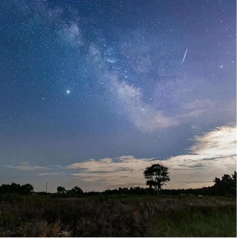 上海第一!这个公园被世界认可,推出重磅福利
