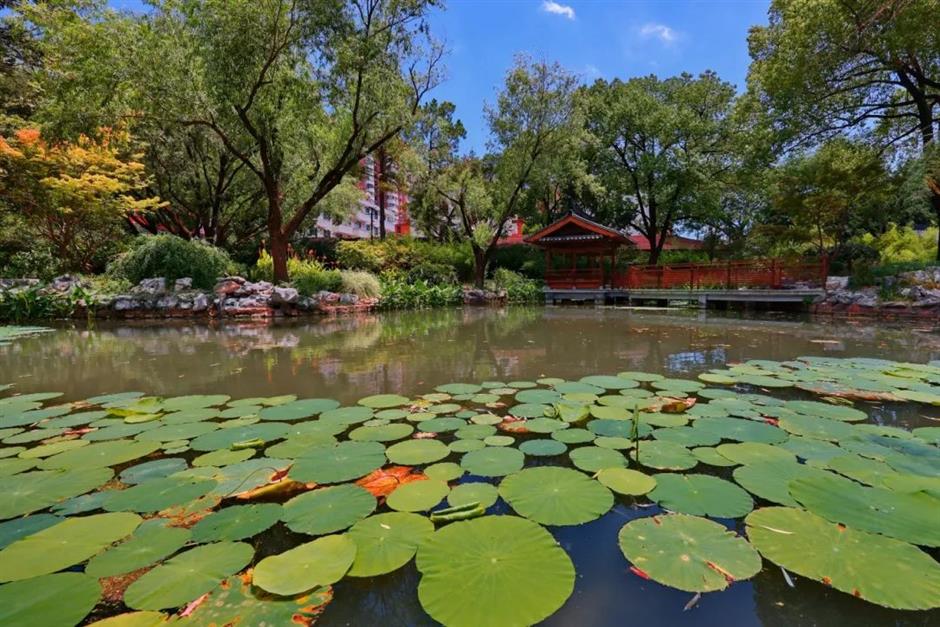 上海市中心这个百年公园焕新归来!赏景纳凉好去处+1→