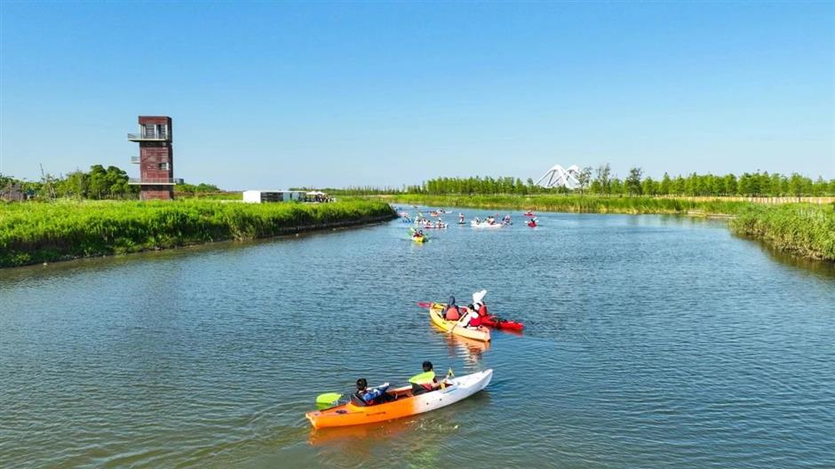 看完日出,不如在臨港來場暢快玩水之旅