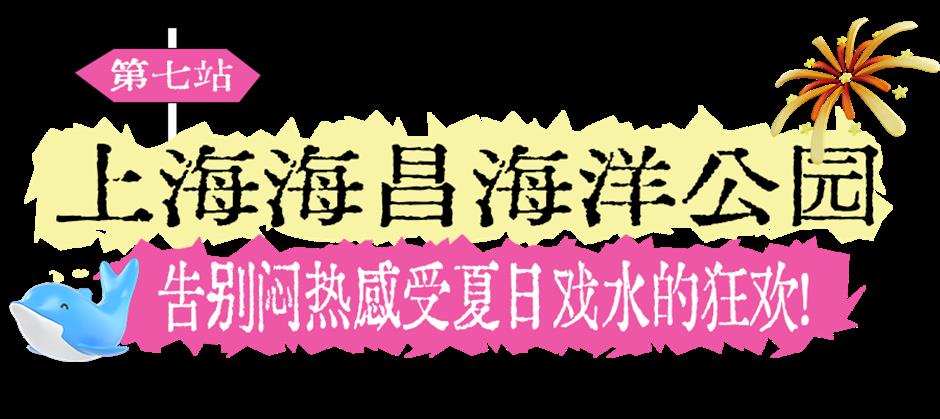 在临港,怎么把两天一夜的周末,过出浪漫与松弛感?