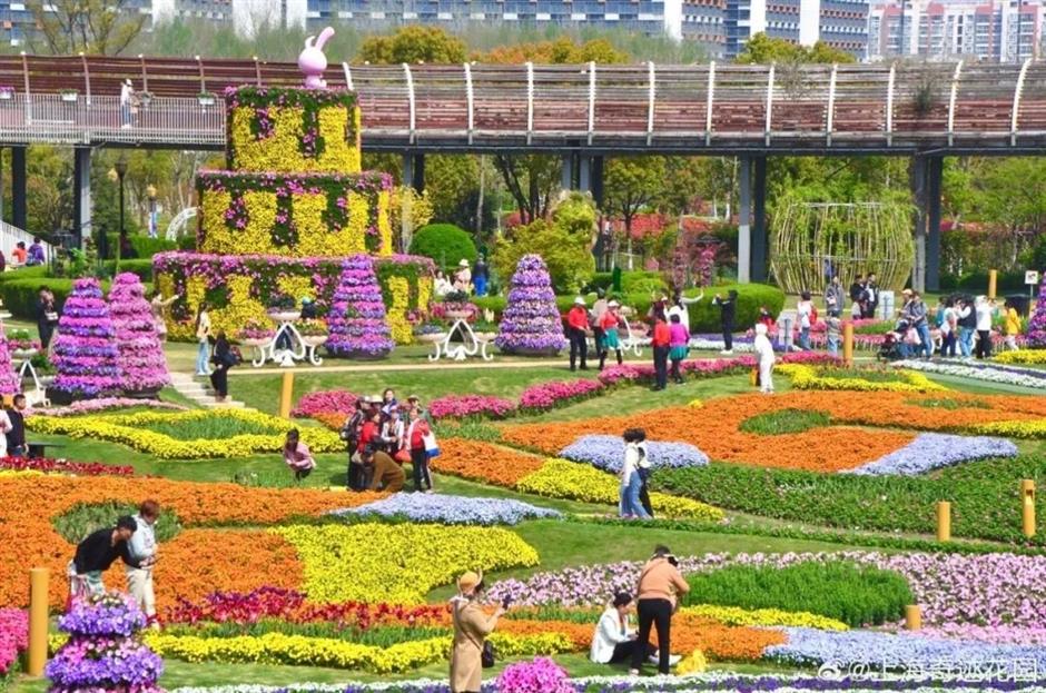 上海这个绝美花园免门票了!江畔微风吹来马鞭草、荷花花海→