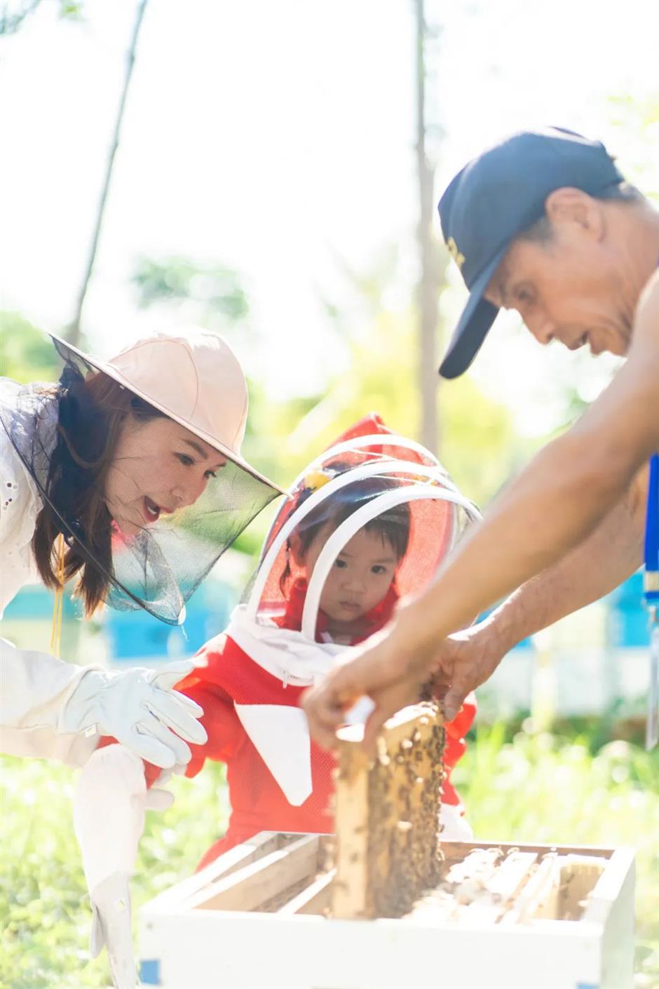 上海这个绝美花园免门票了!江畔微风吹来马鞭草、荷花花海→