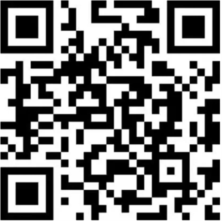 玫瑰婚典寻找永不停歇的上海爱情神话!