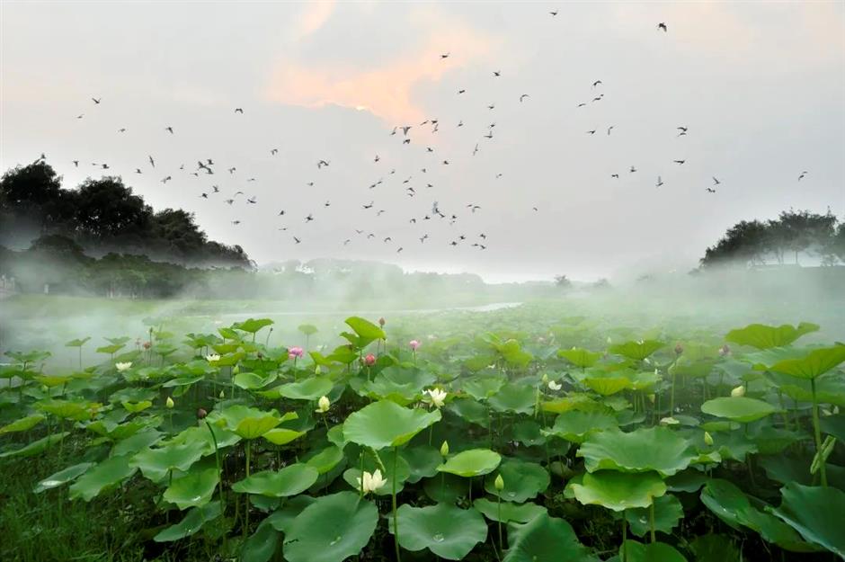 文旅部推荐!上海三条精品线路上榜
