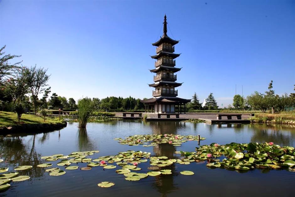 文旅部推荐!上海三条精品线路上榜