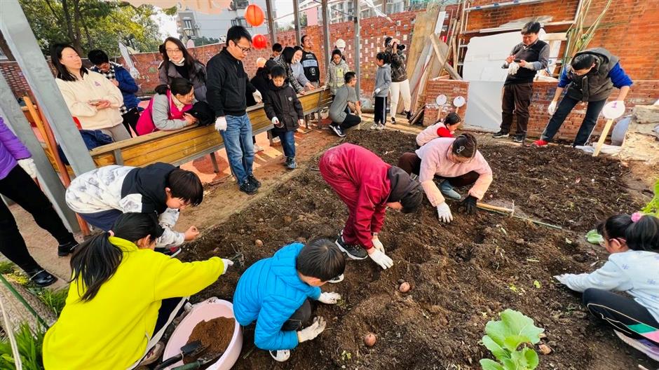 花香满泾,藏在你身边的共享花园