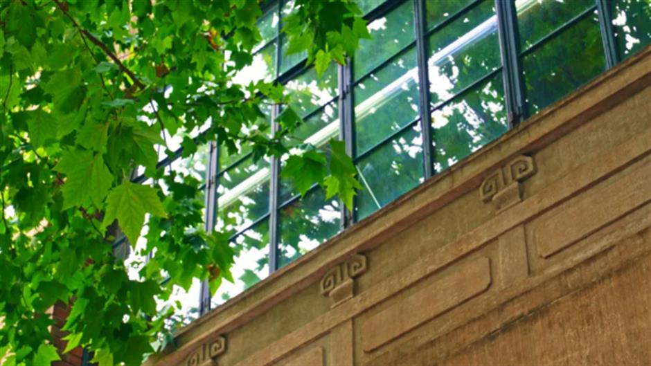 梧桐树下,这座老洋房限时开放!