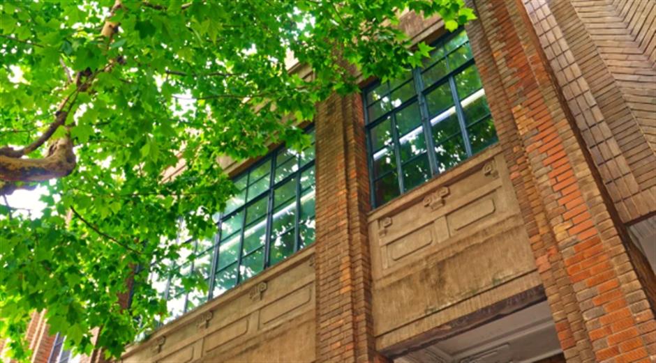 梧桐树下,这座老洋房限时开放!