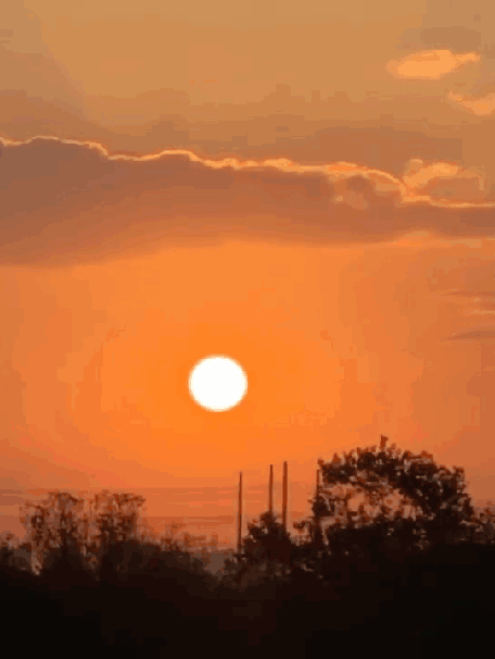 限时开放!又可以去美术馆夜游了