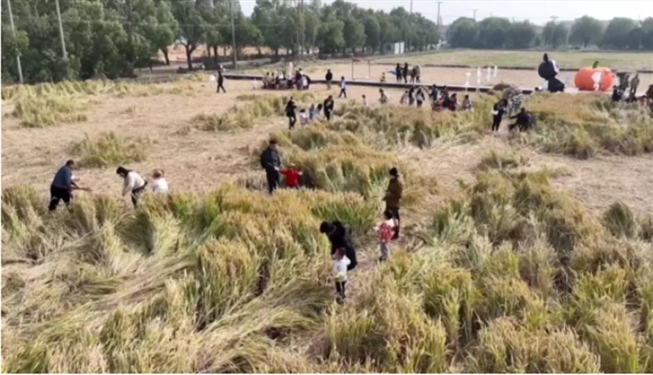 2024年上海工业旅游主题线路深度体验项目——云间麦韵·文创美学