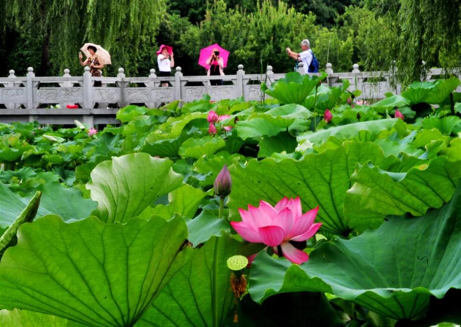 暑假的尾声!去北上海体验休闲时尚游→