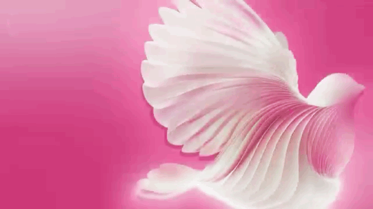 第二十三届中国上海国际艺术节