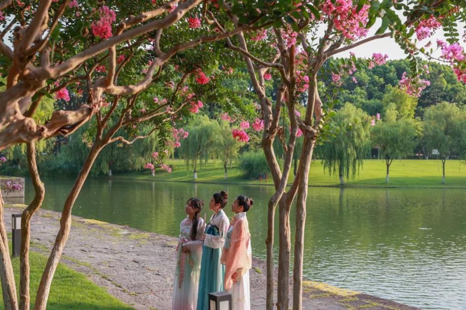 美美美!夏末的賞花頂流竟是TA