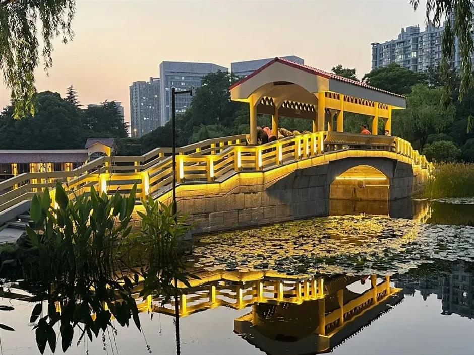 书香曲阳,转角处的居民文艺打卡地