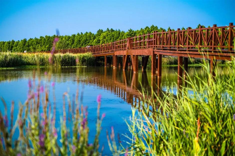 这个上海唯一,推出9月重磅福利!