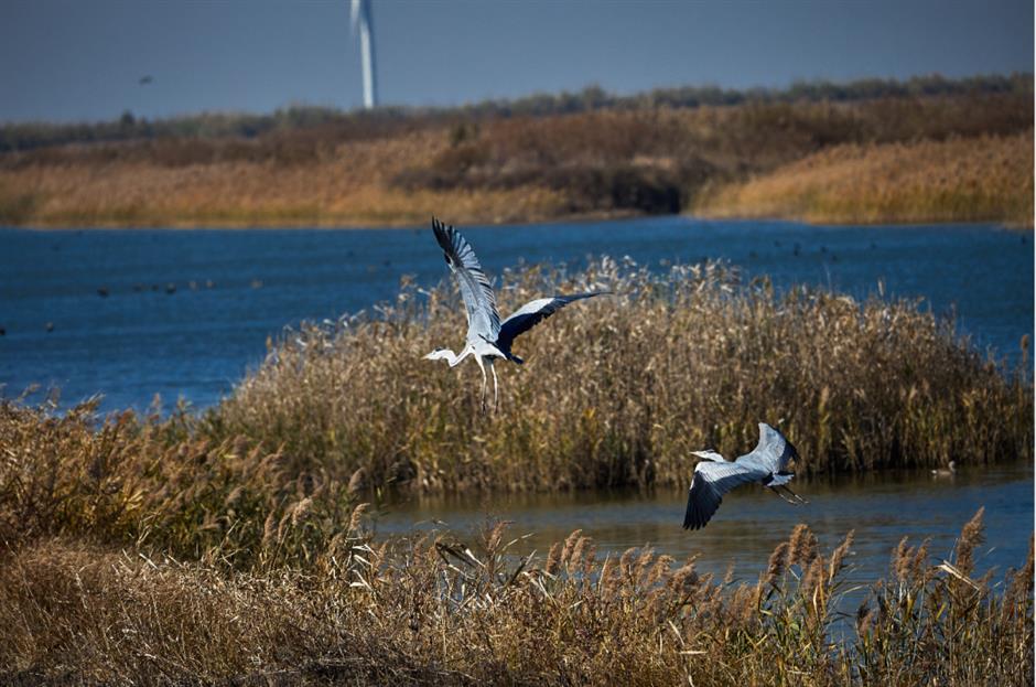 这个上海唯一,推出9月重磅福利!