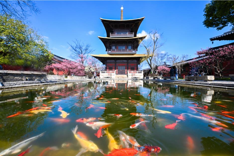 美景美展都有,快收藏這份郊遊攻略~