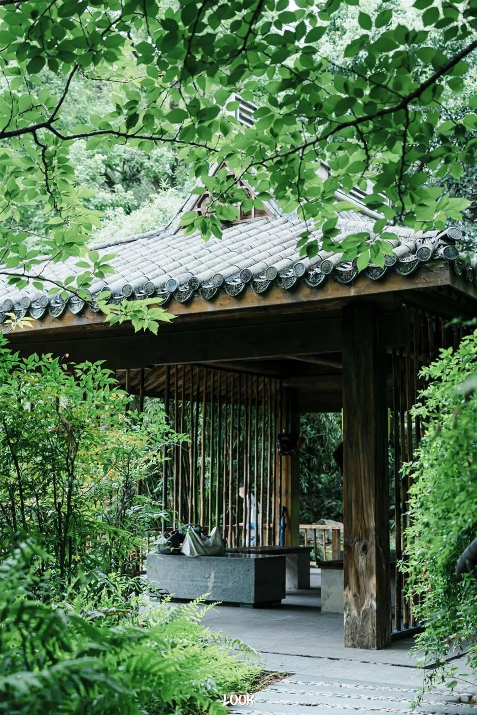 上海城市後花園,地鐵直達,風景很美!