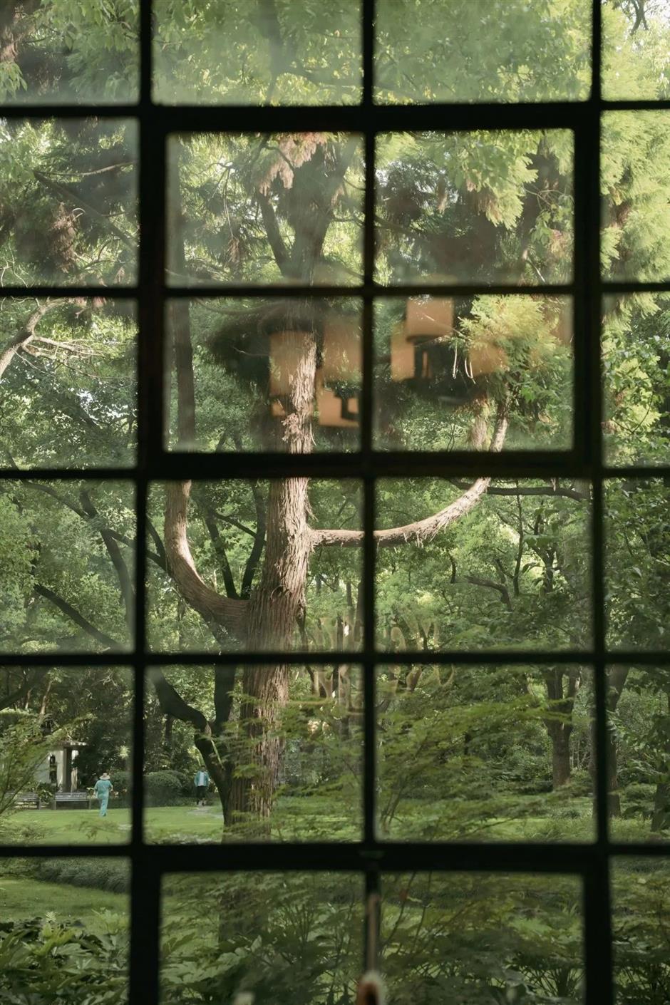 上海城市後花園,地鐵直達,風景很美!