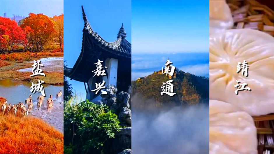 八大城市,第35届上海旅游节分会场定了!