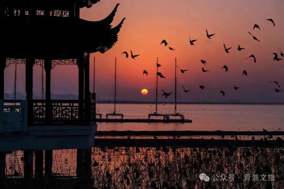 沪郊初秋的美藏在這5片湖光水色裡