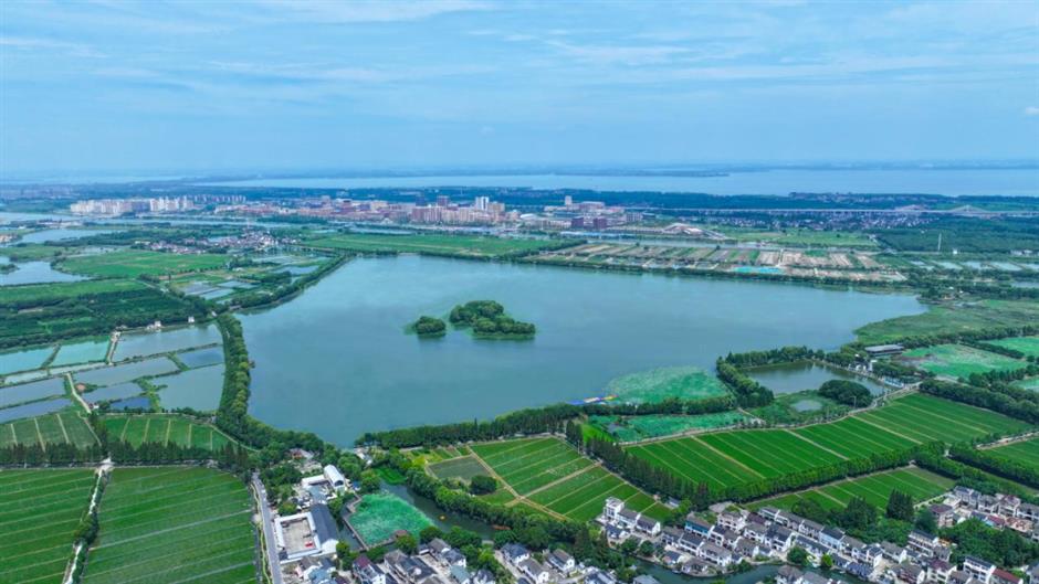 沪郊初秋的美藏在這5片湖光水色裡