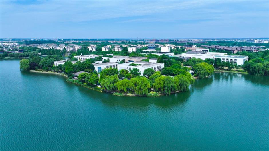 沪郊初秋的美藏在這5片湖光水色裡