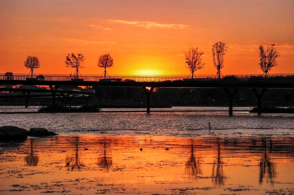 沪郊初秋的美藏在這5片湖光水色裡