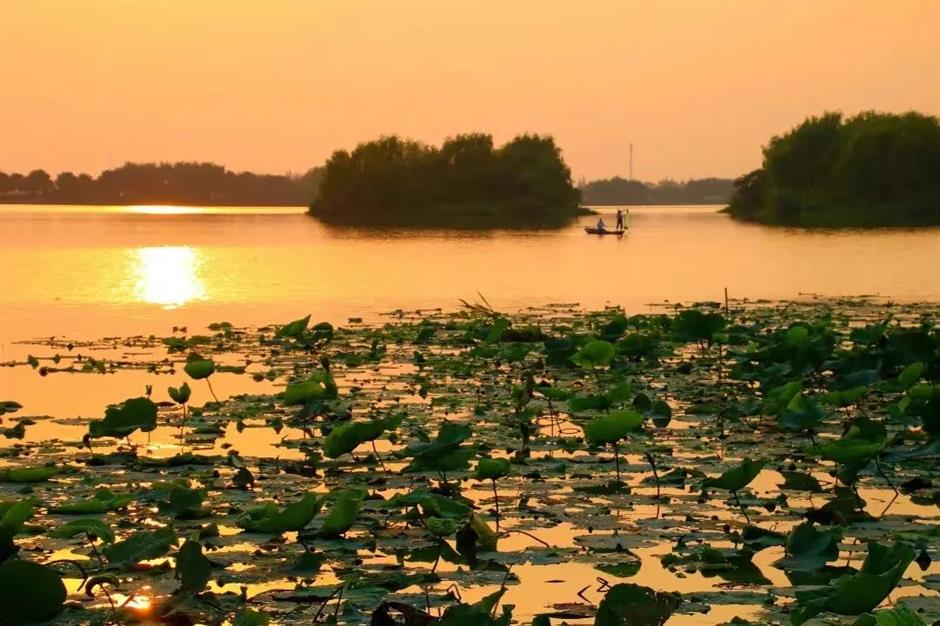 沪郊初秋的美藏在這5片湖光水色裡